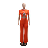 Orange Women’s Fashionable Two-Piece Party Pant Sets Suits