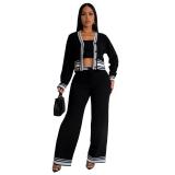 Black Long Sleeve 3PCS Knitted Bra and Tops with Pants Fashion Casual Dress Sets