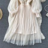 Apricot Mesh Long Sleeve Lace Embroidered Two Pieces Straps Vest Casual Fashion Maxi Dress