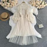 Apricot Mesh Long Sleeve Lace Embroidered Two Pieces Straps Vest Casual Fashion Maxi Dress