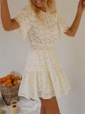 Beige Short Sleeve Lace Hollow Out Pleated Mini Dress