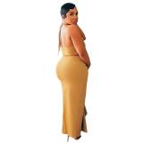 Beige Halter Sleeveless Crop Top Bodycon Ruffles Long Sexy Dress