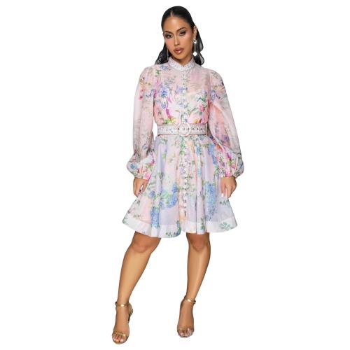 Light Pink Mesh Long Sleeve Printed Fashion Single Breasted Skirt Dress with Belt