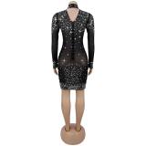 Black Long Sleeve Diamonds Mesh See Through Sexy Party Bodycon Mini Dress