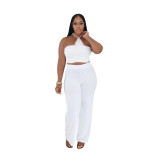 White Two Pieces Knitted Crop Tops Bodycon Party Street Pant Sets