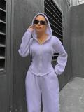 Purple Long Sleeve Zipper V Neck Hooded Cardigan Casual Fashion Long Pant Sets