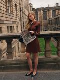 Brown Long Sleeve Button Knitted Ruffles Mini Skirt Dress