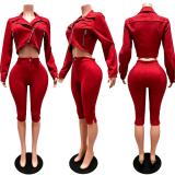 Red Two Pieces Velvet Suede Zipper Jacket Coat Stretch Fashion Women Cropped Pants