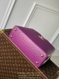 Louis Vuitton LV Capucines PM BB ostrich shopper handbag business briefcase laptop notebook handbag