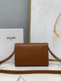 Celine triomphe boxy cosmetic clutch pouch crossbody shoulder WOC flap messenger premium quality