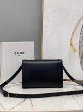 Celine triomphe boxy cosmetic clutch pouch crossbody shoulder WOC flap messenger premium quality