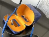 Goyard muse vanity case versatile cosmetic handbag makeup case organizer sling crossbody shoulder cellphone bag 