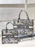 Paris map series Dior embroidered large booktote practical cabin handbag elegant holiday beach tote