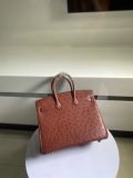 Ostrich leather hermes birkin 25 structured handbag luxury designer tote with strap-buckle closure and studded feet