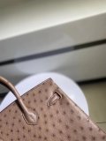 Ostrich leather hermes birkin 25 structured handbag luxury designer tote with strap-buckle closure and studded feet