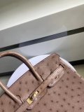 Ostrich leather hermes birkin 25 structured handbag luxury designer tote with strap-buckle closure and studded feet