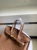Ostrich hermes birkin 25 structured handbag luxury designer tote with strap-buckle closure and studded feet