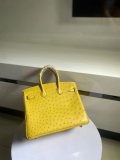 Ostrich hermes birkin 25 structured handbag weekend holiday travel cabin tote full handmade stitch