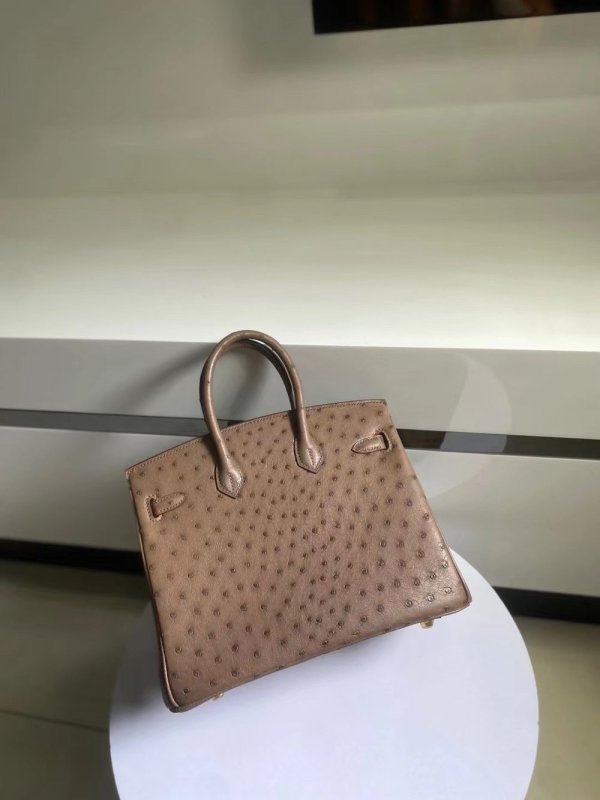 Ostrich leather hermes birkin 25 structured handbag luxury designer tote with strap-buckle closure and studded feet