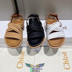 Chloe ladies strapped flat sandal outdoor street slipper women's summer footwear size35-40