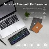 ANNE PRO 2 Gateron Switch, 60% Wired/Wireless Mechanical Keyboard - Full Keys Programmable - True RGB Backlit - Tap Arrow Keys - Double Shot PBT Keycaps - NKRO - 1900mAh Battery