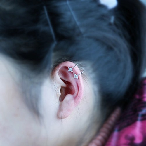 silver earring H70381