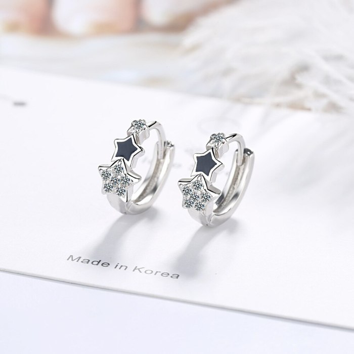 earrings EH501
