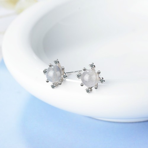 Snowflake earrings XZE663a