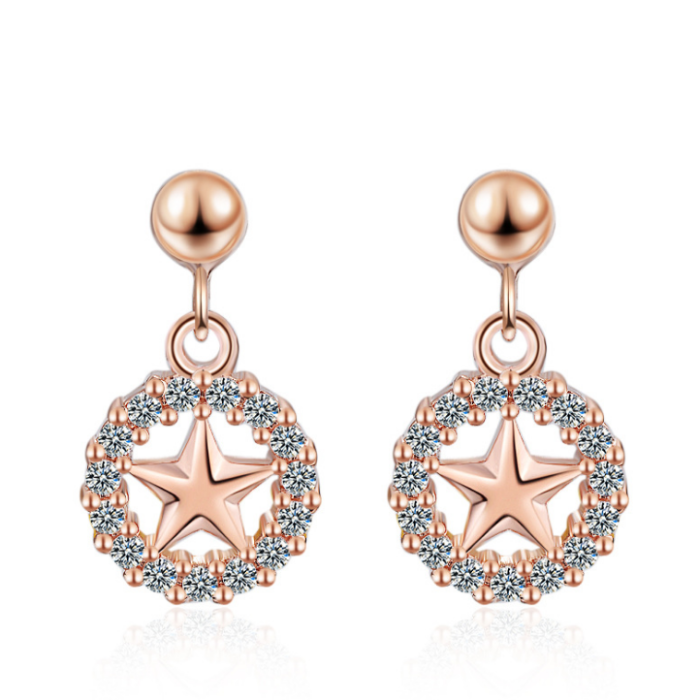 Round Star Earrings 530