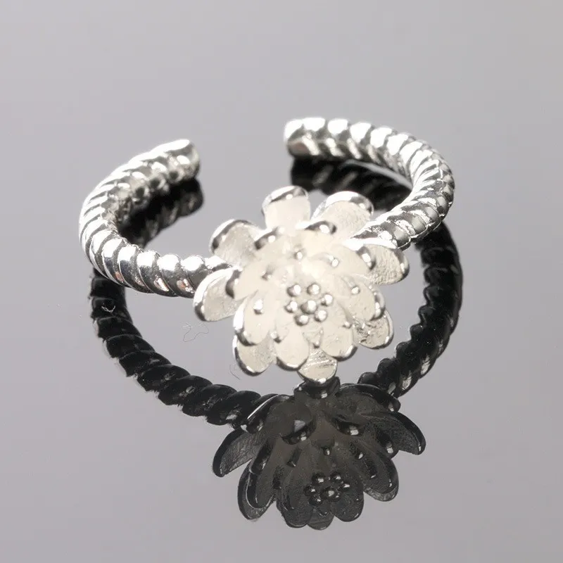 ring WHR91