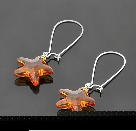 strass crystal  Starfish  earrings 1