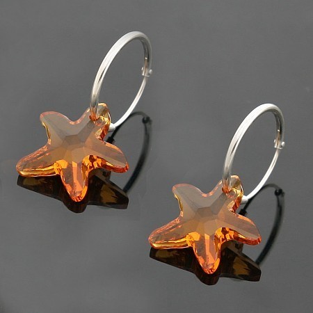 strass crystal  Starfish  earrings 980137