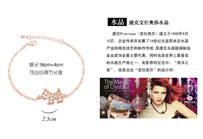 bracelet16010