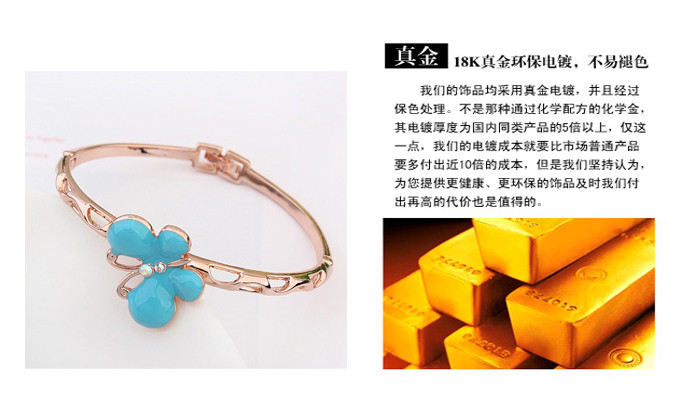 bangle 20894