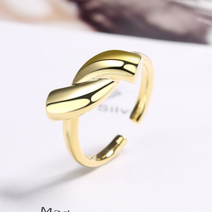 Ring Female European And American Style Fashion Forefinger Ring Geometric Ring XZR315