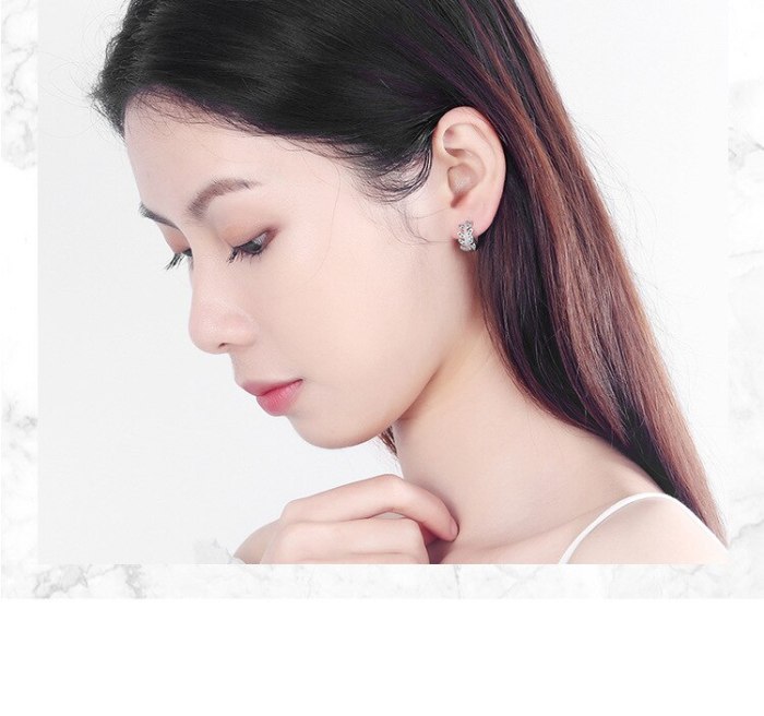 Earrings Female Temperament Korean Ear Clip New Style Fashion Zirconium Diamond Leaf Earrings Korean Temperament XZE540