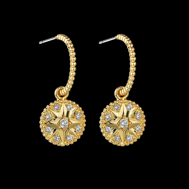 925 Silver Needle Korean Style Elegant round Ear Stud Ear Pendant AAA Zircon earrings Gift Qx1459