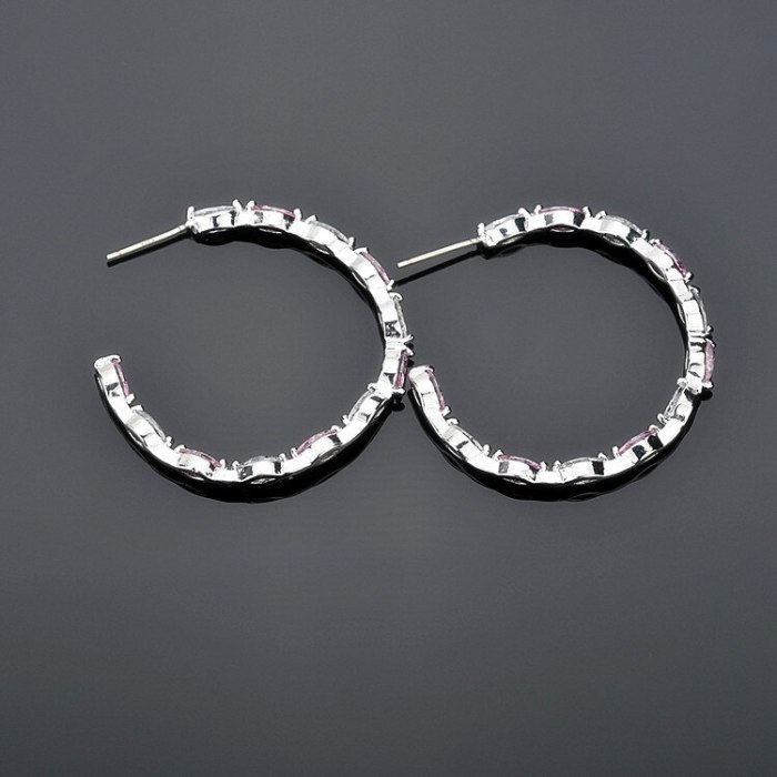 Korean Style Earrings Elegant Trendy Cool Big Ear Ring AAA Zircon Inlaid Stud Earrings 925 Sterling Silver Ear Pin Qxwe1253