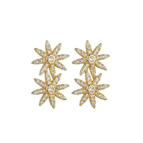 Double Star Stud Earrings Korean-Style Classic Fashion Star 925 Sterling Silver Needle Stud Earrings Female Earrings Qxwe1070
