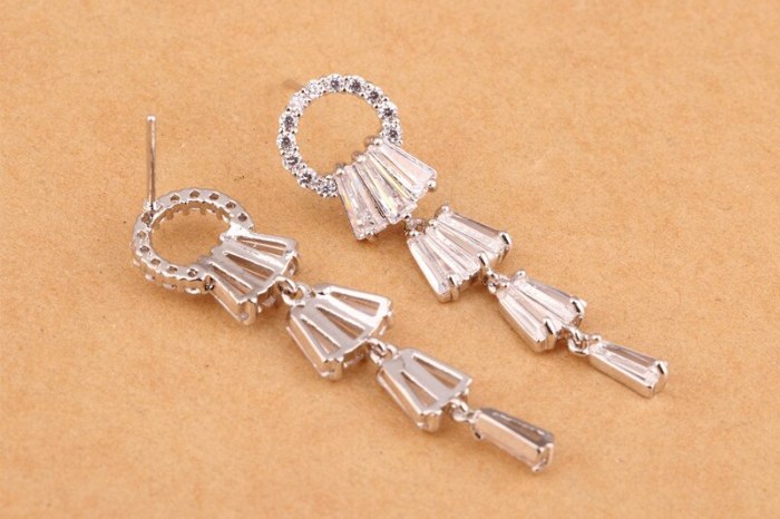 925 Sterling Silver Pin Long Tassel Ring Stud Earrings AAA Zircon Ear Stud Cool Temperament Earrings Qxwe863