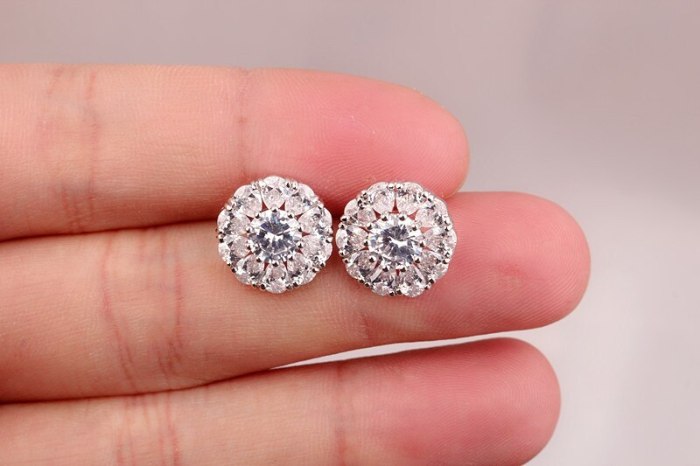 925 Sterling Silver Ear Pin Flower Drop Zircon Earrings Fashion Women's Stud Earrings Jewelry Qxwe880