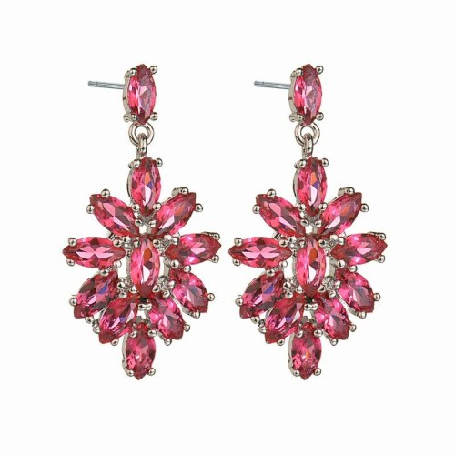 Ice Flowers Zircon Earrings AAA Zircon Stud Earrings Korean Earrings Dinner Wedding Jewelry Qxwe571