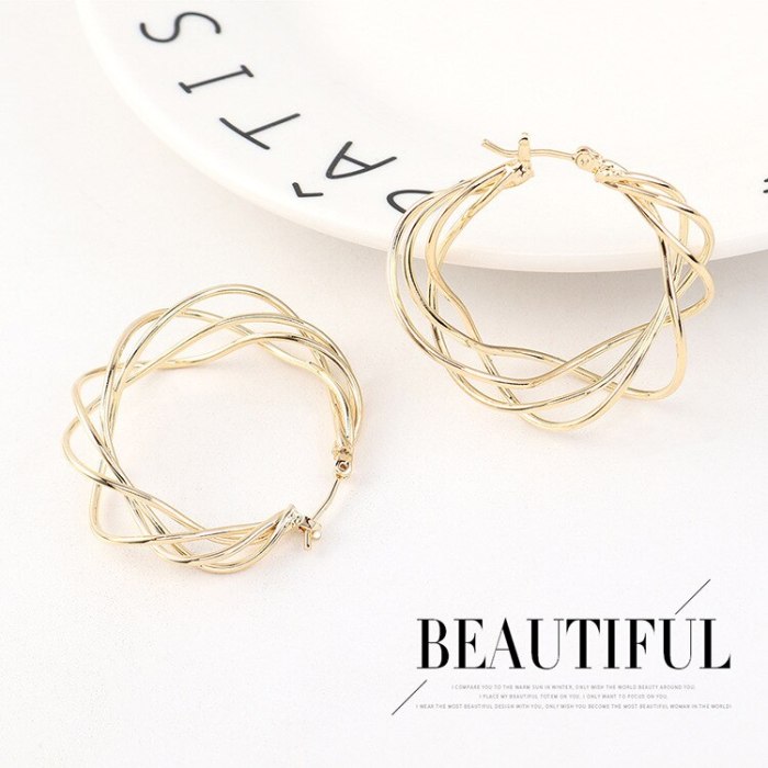 New Exaggerated Cool Metal Earrings Women's All-match Simple Fashion Earrings  Jewelry 140503