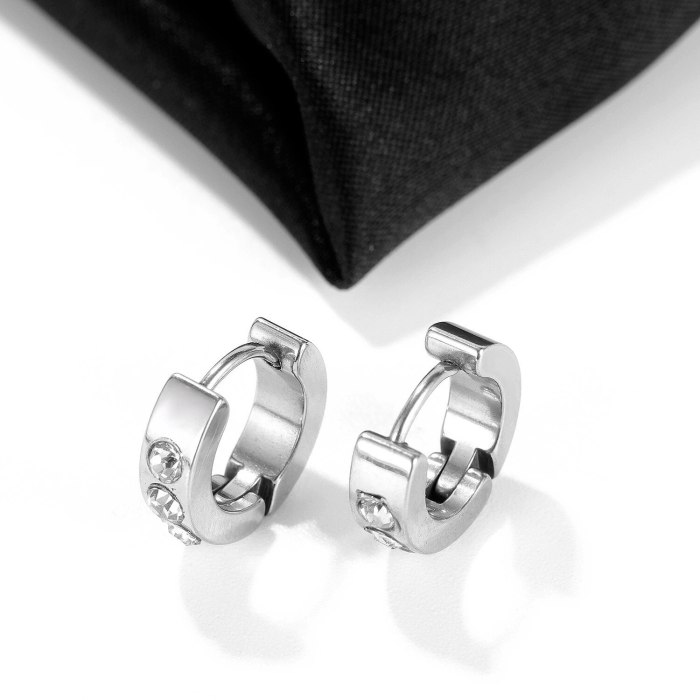 Japanese and Korean Hip-hop Punk Wind Stud Earrings Wholesale Classic Diamond Men Titanium Earrings Jewelry Gb636