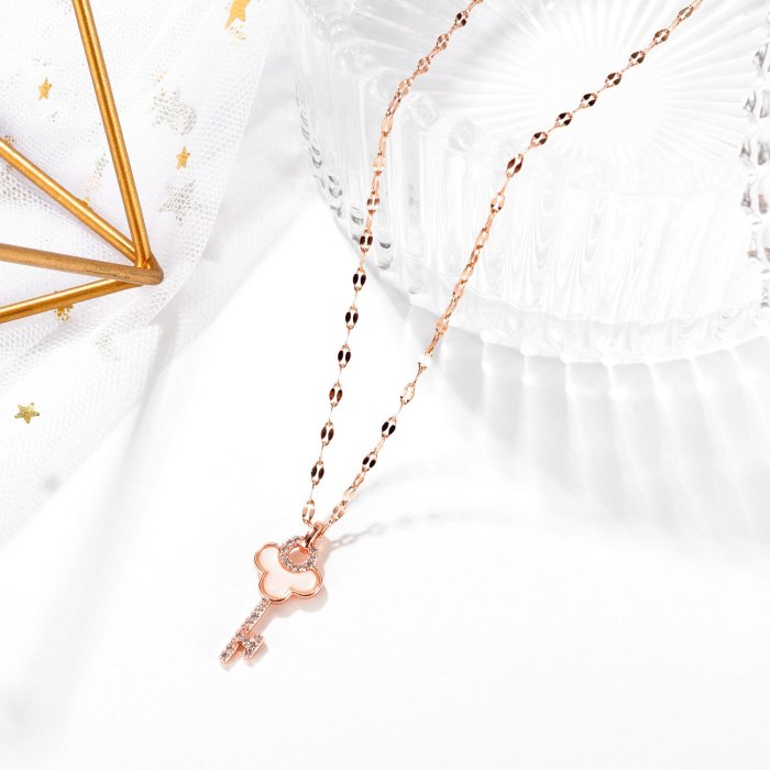Key Necklace Female Clavicle Chain Korean Fashion Simple Luxury Temperament Ins Titanium Steel Necklace Gb008
