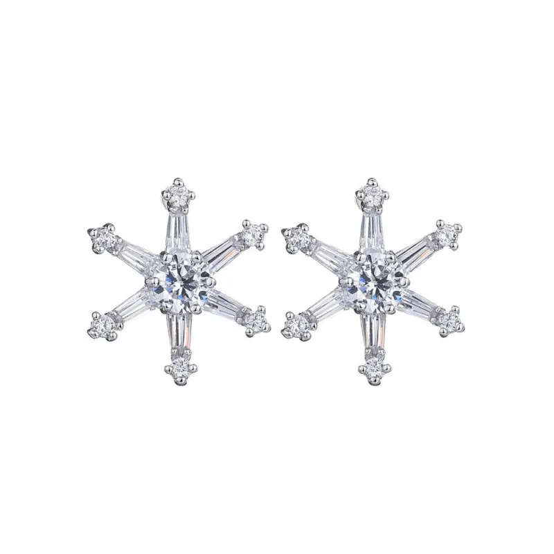 Korean S925 Silver Needle Temperament AAA Zircon Earrings Female Star Earrings Simple Earrings Qxwe663