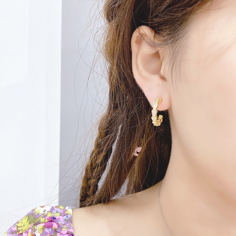 Snake Bone Micro-Inlaid Full Diamond Earrings Internet Celebrity Earrings Ear Studs Female Sterling Silver Needle 14K Real Gold