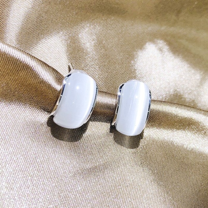 Opal Stone Ear Studs Temperament Personality Silver Pin Earrings Internet Celebrity Cold Style Earrings Female