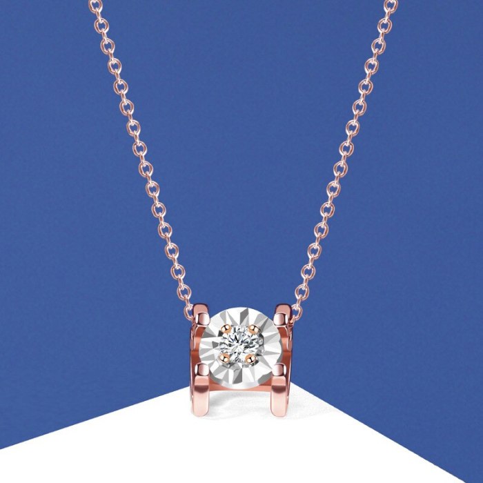 S925 Sterling Silver Ornament Zircon Necklace Women's Light Luxury Internet Celebrity Rose Gold Clavicle Tide Necklace A2064
