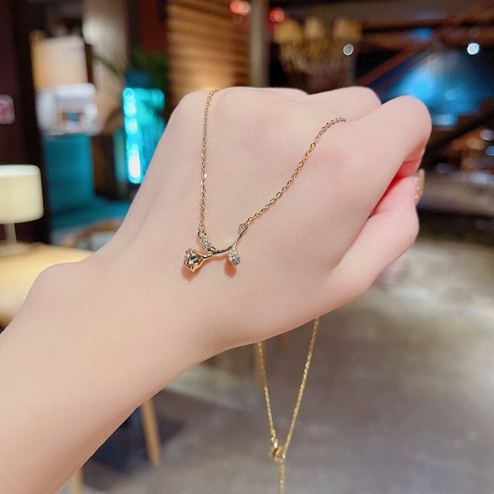 Korean Style New Micro Inlaid Zircon Rose Gold Pendant Titanium Steel Necklace Net Red Same Style Temperament Clavicle Chain